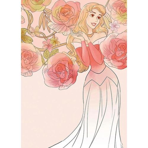 4055065161544 - KOMAR Poster Sleeping Beauty Roses Bilder Kinderzimmer Schlafzimmer Wohnzimmer Gr B H 50 cm x 70 cm Disney 1 St bunt Poster 4055065161544 - KOMAR Poster Sleeping Beauty Roses Bilder Kinderzimmer Schlafzimmer Wohnzimmer Gr B H 50 cm x 70 cm Disney 1 St bunt Poster