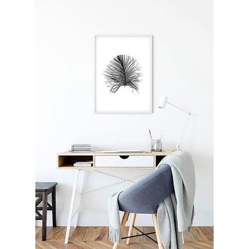 4055065155062 - KOMAR Poster Feather White Bilder Kinderzimmer Schlafzimmer Wohnzimmer Gr B H 50 cm x 70 cm Federn 1 St bunt Poster 4055065155062 - KOMAR Poster Feather White Bilder Kinderzimmer Schlafzimmer Wohnzimmer Gr B H 50 cm x 70 cm Federn 1 St bunt Poster