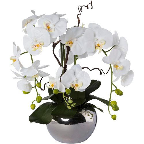 4064118077503 - Kunstorchidee CREATIV GREEN Phalaenopsis Kunstpflanzen Gr H 55 cm 1 St weiß Kunstorchidee Kunst-Orchideen Kunstpflanzen im Keramiktopf