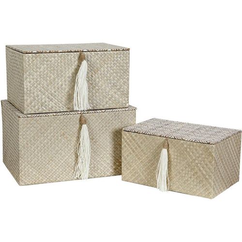 8435763135478 - Fijalo - Set mit 3 Boxen aus Naturfaser 36 x 36 x 22 cm