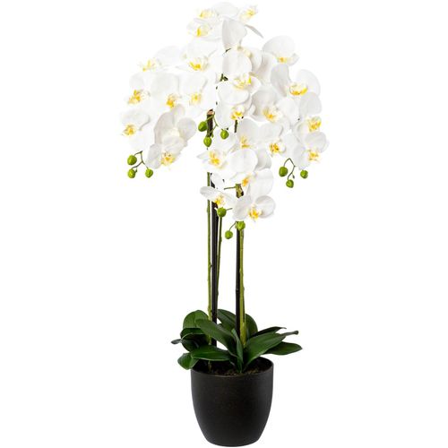 4064118137955 - Kunstorchidee CREATIV GREEN Phalaenopsis im Resintopf weiß H99cm Obermaterial 100% Polyethylen Kunstpflanzen mit Real-Touch-Blüten