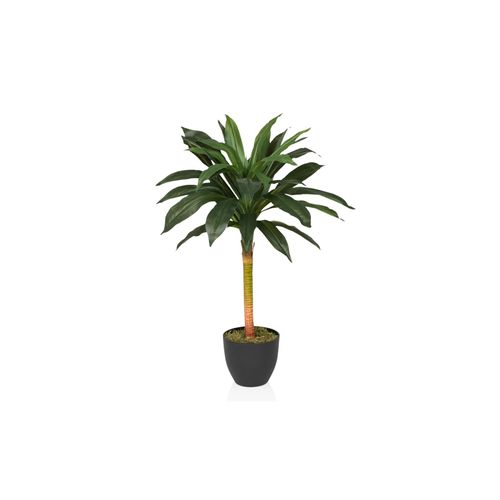 4064323045779 - Kunstpflanze DRACAENA I Kunststoff