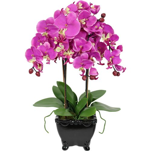 4019844596712 - Kunstblume IGEA Künstliche Orchidee in Schale Phalaenopsis Blume Kunstpflanzen Gr B H L 20 cm x 60 cm x 18 cm 1 St rosa (dunkelrosa) Kunst-Blumen Kunstorchidee Deko Dekoblume Seidenblume