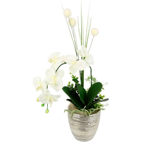 4019844755348 - Kunstblume IGEA Arrangement Orchidee Gras Kunstpflanzen Gr B H L 25 cm x 60 cm x 16 cm 1 St beige (creme) Kunst-Blumen Kunstpflanzen Topf aus Keramik