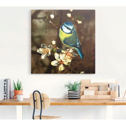 4059745136839 - Wandbild ARTLAND Blaumeise auf Kirschzweig Bilder Gr B H 30 cm x 30 cm Leinwandbild Vögel 1 St bunt Bild Kunstdruck Kunstdrucke Bilder als Alubild Leinwandbild Wandaufkleber oder Poster in versch Größen 4059745136839 - Wandbild ARTLAND Blaumeise auf Kirschzweig Bilder Gr B H 30 cm x 30 cm Leinwandbild Vögel 1 St bunt Bild Kunstdruck Kunstdrucke Bilder als Alubild Leinwandbild Wandaufkleber oder Poster in versch Größen