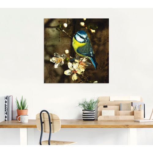 4059745136792 - Wandbild ARTLAND Blaumeise auf Kirschzweig Bilder Gr B H 30 cm x 30 cm Alu-Dibond-Druck Vögel 1 St bunt Bild Kunstdruck Kunstdrucke Bilder als Alubild Leinwandbild Wandaufkleber oder Poster in versch Größen 4059745136792 - Wandbild ARTLAND Blaumeise auf Kirschzweig Bilder Gr B H 30 cm x 30 cm Alu-Dibond-Druck Vögel 1 St bunt Bild Kunstdruck Kunstdrucke Bilder als Alubild Leinwandbild Wandaufkleber oder Poster in versch Größen