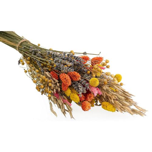 8715881371058 - Trockenblumenstrauß Mix orange 8715881371058 - Trockenblumenstrauß Mix orange