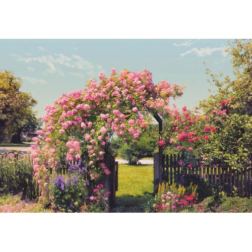4036834089368 - KOMAR Fototapete Rose Garden Tapeten ausgezeichnet lichtbeständig Gr B L 368 m x 254 m Rollen 8 St bunt (blau grün rosa) Fototapeten Blumen Tapeten 4036834089368 - KOMAR Fototapete Rose Garden Tapeten ausgezeichnet lichtbeständig Gr B L 368 m x 254 m Rollen 8 St bunt (blau grün rosa) Fototapeten Blumen Tapeten