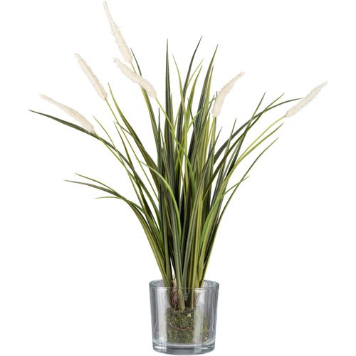 4064118117438 - Kunstgras CREATIV GREEN Grasbusch Miscanthus im Erdballen mit Glas beige (creme) H63cm Obermaterial 100% Polyethylen Kunstpflanzen