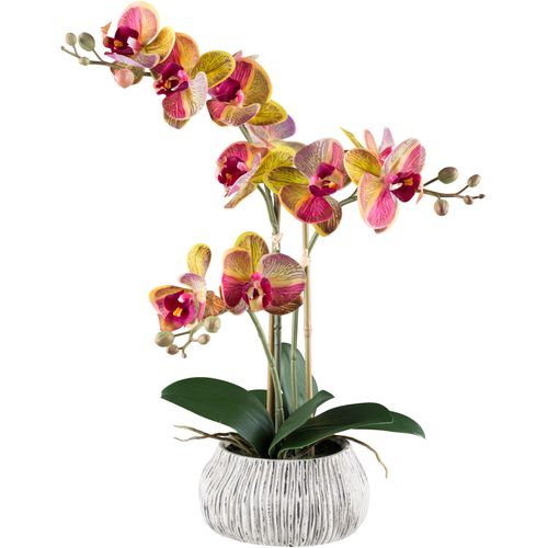 4064118240853 - Kunstorchidee CREATIV GREEN Orchidee Phalaenopsis gelb H48cm Kunststoff Kunstpflanzen mit außergewöhnlicher Zementschale