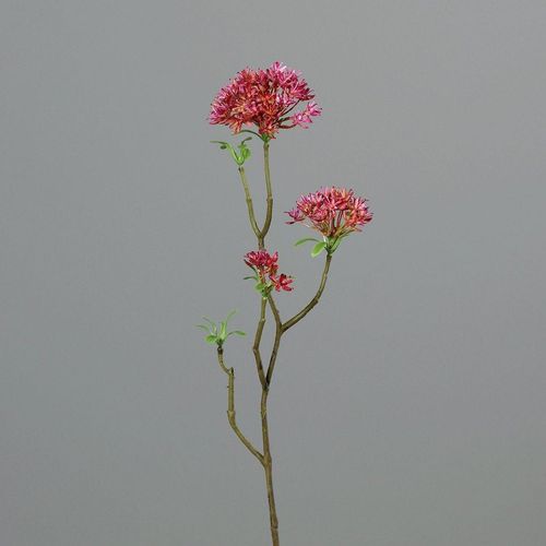 4027234908410 - Kunstblume BOWARDIENZWEIG (H 54 cm) 4027234908410 - Kunstblume BOWARDIENZWEIG (H 54 cm)