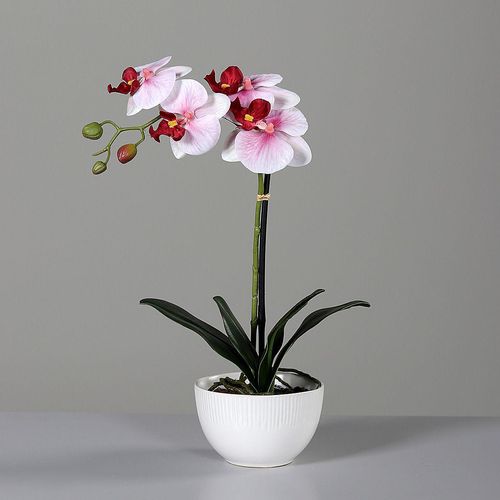 4027234949185 - Kunstblume Orchidee (H 40 cm) 4027234949185 - Kunstblume Orchidee (H 40 cm)