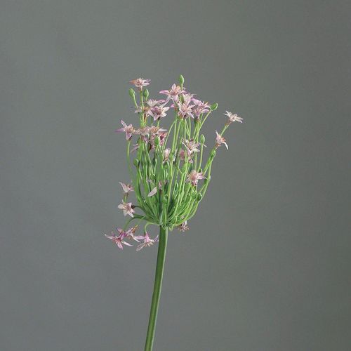 4027234881560 - Kunstblume Allium (H 70 cm) H 70 cm lila Pflanze Kunstpflanze Zimmerpflanze