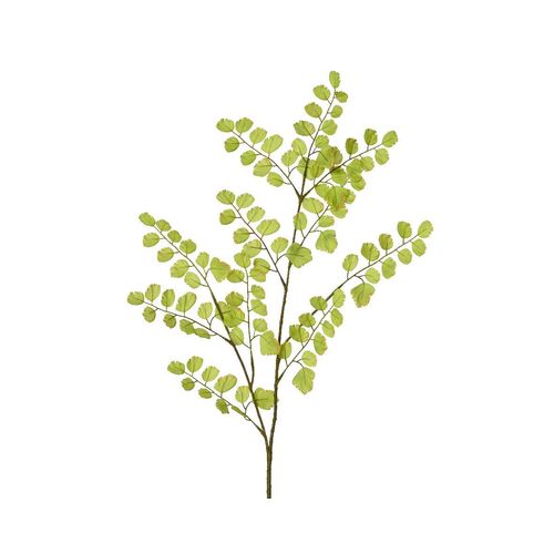 8720725428270 - Kunstpflanze GINGKO 8720725428270 - Kunstpflanze GINGKO