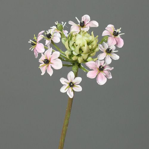 4027234387178 - Kunstblume Ornithogalum (H 64 cm) 4027234387178 - Kunstblume Ornithogalum (H 64 cm)