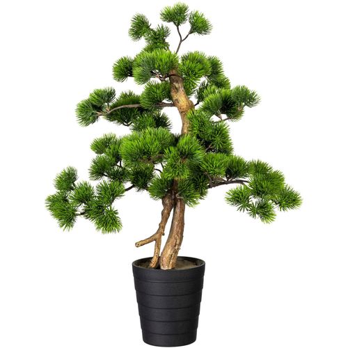 4064118072430 - Kunstbonsai CREATIV GREEN Bonsai Kiefer Kunstpflanzen Gr Ø H 40 cm x 60 cm 1 St grün Kunstbonsai Kunst-Bonsai Kunstpflanzen 4064118072430 - Kunstbonsai CREATIV GREEN Bonsai Kiefer Kunstpflanzen Gr Ø H 40 cm x 60 cm 1 St grün Kunstbonsai Kunst-Bonsai Kunstpflanzen
