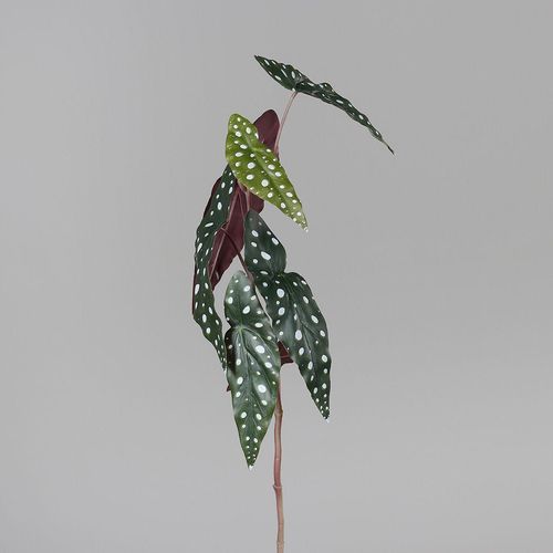 4027234977737 - Kunstpflanze Blatt Begonie (H 75 cm) 4027234977737 - Kunstpflanze Blatt Begonie (H 75 cm)