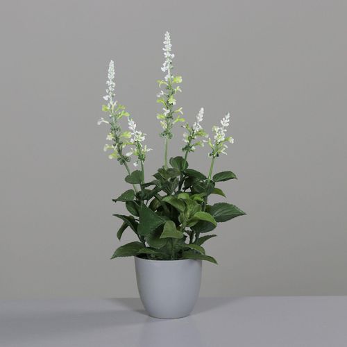 4099886029928 - Kunstblume Salbei (H 42 cm) H 42 cm beige Pflanze Kunstpflanze Zimmerpflanze 4099886029928 - Kunstblume Salbei (H 42 cm) H 42 cm beige Pflanze Kunstpflanze Zimmerpflanze
