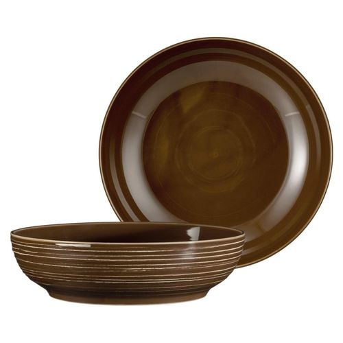 4262487296697 - Foodbowl Terra ø 255 cm 2er Set