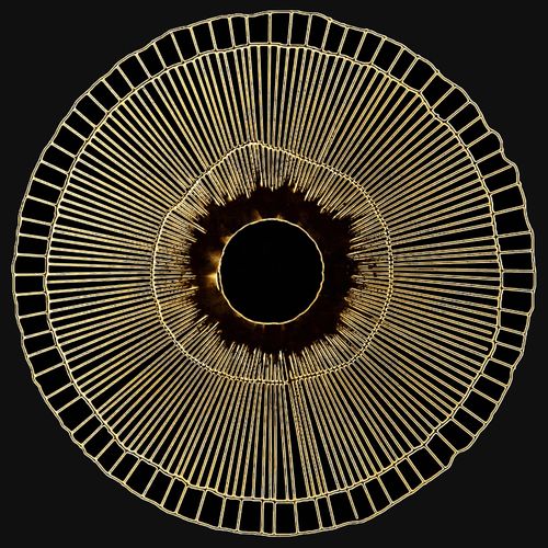 4067602803688 - Leinwandbild Das Auge Bilder Gr B H 50 cm x 50 cm quadratisch Abstrakt quadratisch 1 St goldfarben Leinwandbilder Akustikbild mit sehr guten Schallabsorptions-Eigenschaften