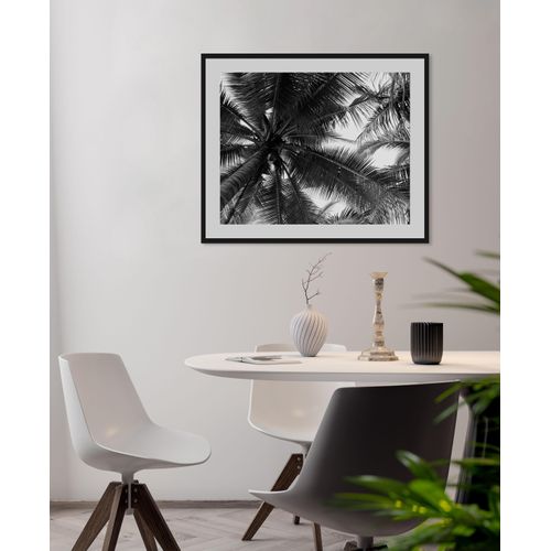 4049009843191 - Bild QUEENCE Mary Bilder Gr B H 50 cm x 40 cm Wandbild Palmen Querformat 1 St schwarz Bild Kunstdruck Bilder mit Rahmen 4049009843191 - Bild QUEENCE Mary Bilder Gr B H 50 cm x 40 cm Wandbild Palmen Querformat 1 St schwarz Bild Kunstdruck Bilder mit Rahmen