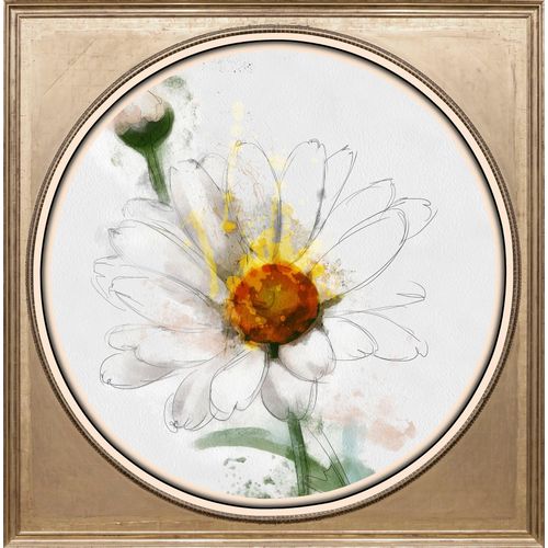 4049009353591 - Acrylglasbild »Weisse Blüte« Blumen-Blumenbilder-Kunst-Pflanzen-Pflanzenbilder-Gemälde Fine Art-Print in Galeriequalität 4049009353591 - Acrylglasbild »Weisse Blüte« Blumen-Blumenbilder-Kunst-Pflanzen-Pflanzenbilder-Gemälde Fine Art-Print in Galeriequalität