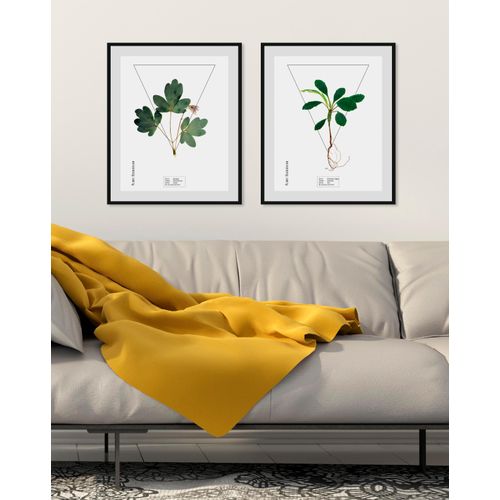 4049009844402 - Bild QUEENCE Aquilegia Bilder Gr B H 50 cm x 70 cm Wandbild Hochformat 1 St grün Bild Kunstdruck Bilder mit Rahmen