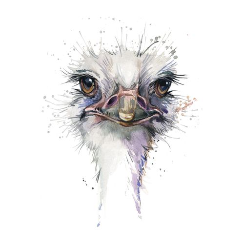 4049009358244 - Leinwandbild »Vogelstrauss« Kunst-Vogelbilder-Vögel Premium-Leinwandstoff Handarbeit aus Deutschland
