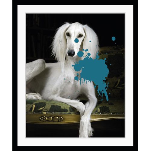 4049009874980 - Bild QUEENCE Helena 30 Bilder Gr B H 30 cm x 40 cm Wandbild Hunde Hochformat weiß (weiß blau) Kunstdrucke gerahmt Hund Farbklecks Pudel