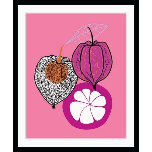 4049009920823 - Bild QUEENCE Lio Bilder Gr B H 30 cm x 40 cm Wandbild Obst Hochformat orange (orange pink) Kunstdrucke Obst gerahmt 4049009920823 - Bild QUEENCE Lio Bilder Gr B H 30 cm x 40 cm Wandbild Obst Hochformat orange (orange pink) Kunstdrucke Obst gerahmt