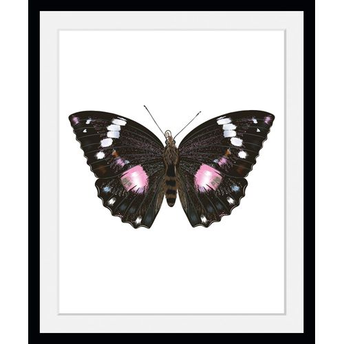 4049009846376 - Bild QUEENCE Marissa Bilder Gr B H 40 cm x 50 cm Wandbild Schmetterlinge Hochformat 1 St lila Bild Kunstdruck Bilder mit Rahmen