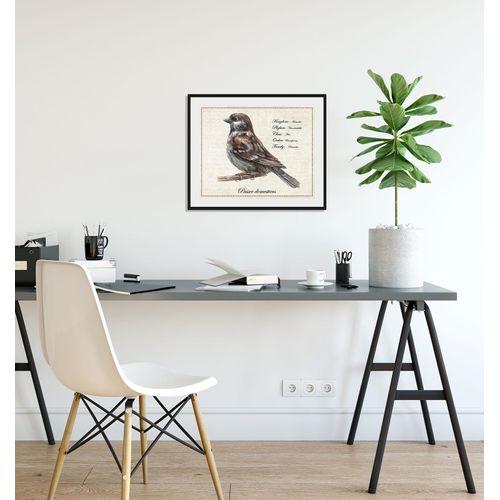 4049009843481 - Bild »Passer domesticus« Vögel-Vogelbilder-historische Ereignisse-Kunst-Sprüche & Texte (1 St) HD Premium Poster-Druck inkl Holzrahmen 4049009843481 - Bild »Passer domesticus« Vögel-Vogelbilder-historische Ereignisse-Kunst-Sprüche & Texte (1 St) HD Premium Poster-Druck inkl Holzrahmen