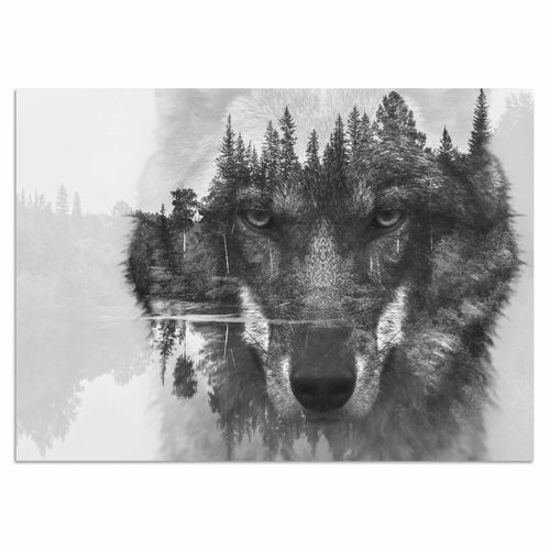 4049008796177 - Home affaire Acrylglasbild »Wolf« Schwarz-Weiss-Tiere-Wolfbilder-Wildtiere-Yosemite Nationalpark-Baum-Baumbilder-See-Seebilder-Seelandschaft Fine Art-Print in Galeriequalität