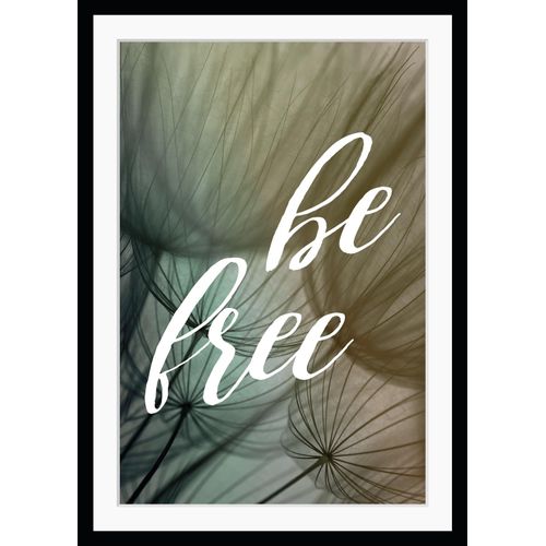 4049009892106 - Bild QUEENCE be free Bilder Gr B H 30 cm x 40 cm Wandbild Sprüche & Texte Hochformat grau Kunstdrucke gerahmt Pusteblume Spruch 4049009892106 - Bild QUEENCE be free Bilder Gr B H 30 cm x 40 cm Wandbild Sprüche & Texte Hochformat grau Kunstdrucke gerahmt Pusteblume Spruch