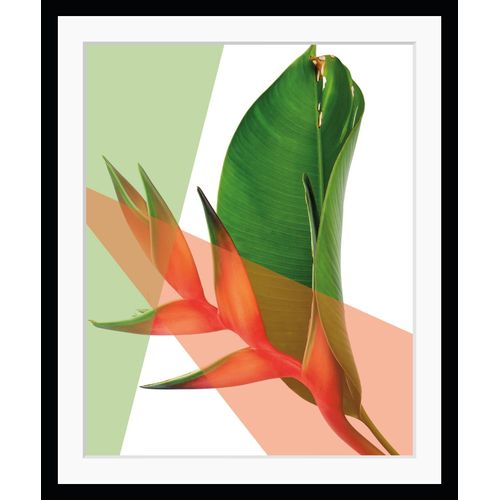 4049009891161 - Bild QUEENCE Sabine Bilder Gr B H 30 cm x 40 cm Wandbild Blätter Hochformat grün (grün orange) Kunstdrucke Natur gerahmt Blatt 4049009891161 - Bild QUEENCE Sabine Bilder Gr B H 30 cm x 40 cm Wandbild Blätter Hochformat grün (grün orange) Kunstdrucke Natur gerahmt Blatt