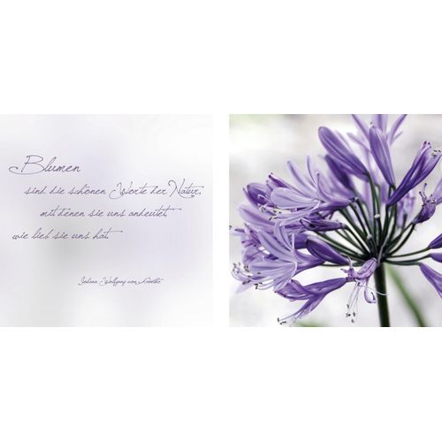 4049009354574 - Leinwandbild »Worte der Natur« Blätter-Blätterbilder-Kunst-Modern-Spa-Spa Bilder-Sprüche-Sprüche & Texte-Schriftzug-Schriftzüge (Set) Premium-Leinwandstoff Handarbeit aus Deutschland Zitat 2er Set