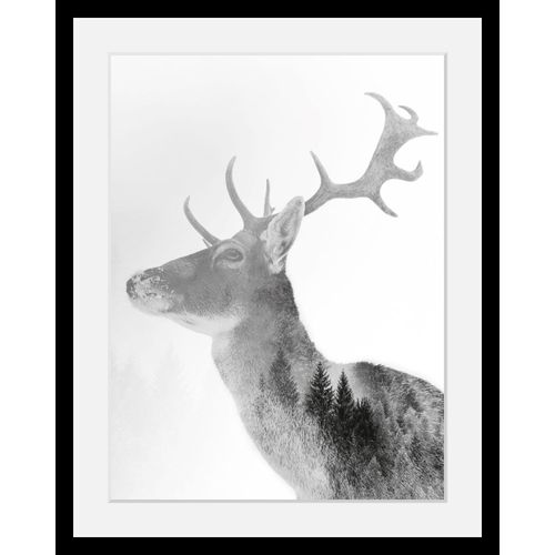 4049009076735 - Bild »Hirsch« Hirsch-Tiere-Wildtiere-Hirschbilder-Wald-Waldbilder-Schwarz-Weiss HD Premium Poster-Druck inkl Holzrahmen 4049009076735 - Bild »Hirsch« Hirsch-Tiere-Wildtiere-Hirschbilder-Wald-Waldbilder-Schwarz-Weiss HD Premium Poster-Druck inkl Holzrahmen