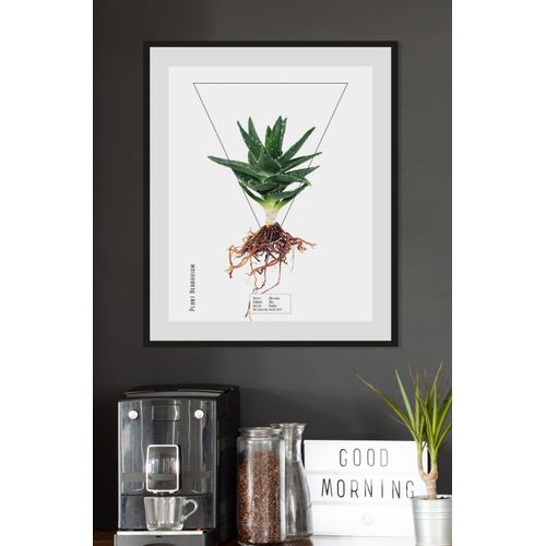 4049009844235 - Bild QUEENCE Aloe vera Bilder Gr B H 30 cm x 40 cm Wandbild Hochformat 1 St grün Bild Kunstdruck Bilder mit Rahmen 4049009844235 - Bild QUEENCE Aloe vera Bilder Gr B H 30 cm x 40 cm Wandbild Hochformat 1 St grün Bild Kunstdruck Bilder mit Rahmen