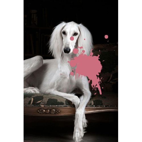 4049009100447 - Acrylglasbild »Hund mit Farbklecks« Kunst-Gemälde-Hund-Hundebilder-Historische Persönlichkeiten-Formen-Haustiere Fine Art-Print in Galeriequalität 4049009100447 - Acrylglasbild »Hund mit Farbklecks« Kunst-Gemälde-Hund-Hundebilder-Historische Persönlichkeiten-Formen-Haustiere Fine Art-Print in Galeriequalität