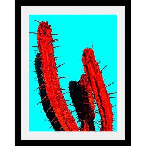 4049009355267 - Bild QUEENCE Kaktus Bilder Gr B H T 40 cm x 50 cm x 3 cm bunt Kunstdrucke Bilder in 3 Größen gerahmt