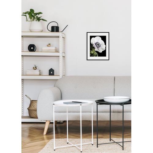 4049009841913 - Bild QUEENCE Leslie Bilder Gr B H 50 cm x 70 cm Wandbild Blumen Hochformat 1 St weiß Bild Kunstdruck Bilder mit Rahmen