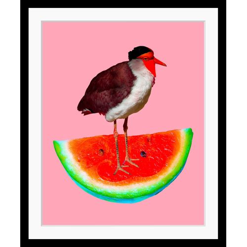 4049009895268 - Bild QUEENCE Josi Bilder Gr B H 30 cm x 40 cm Wandbild Wassermelone Hochformat bunt (gelb türkis pink) Kunstdrucke gerahmt Wassermelone Vogel