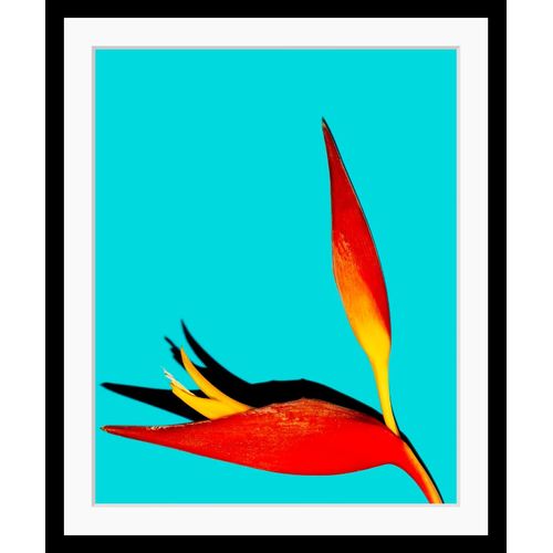 4049009895138 - Bild QUEENCE Rebecca Bilder Gr B H 30 cm x 40 cm Wandbild Pflanzen Hochformat bunt (gelb rot türkis) Kunstdrucke Blätter gerahmt Pflanze