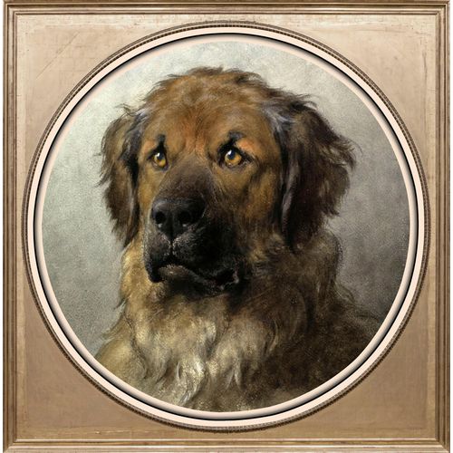 4049009252078 - Acrylglasbild »Jagdhund« Kunst-Gemälde-Tiere-Hund-Hunde-Hundebilder Fine Art-Print in Galeriequalität 4049009252078 - Acrylglasbild »Jagdhund« Kunst-Gemälde-Tiere-Hund-Hunde-Hundebilder Fine Art-Print in Galeriequalität