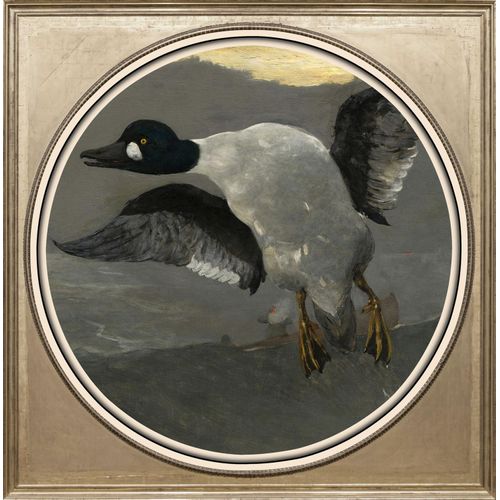 4049009352143 - Acrylglasbild »Ente« Kunst-Vögel-Vogelbilder-Ente-Enten-Gemälde Fine Art-Print in Galeriequalität
