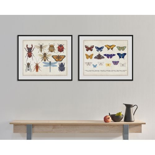 4049009843344 - Bild QUEENCE Das Große Krabbeln Bilder Gr B H 50 cm x 40 cm Wandbild Querformat 1 St bunt Bild Kunstdruck Bilder mit Rahmen