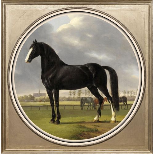4049009102113 - Acrylglasbild »Pferd« Tiere-Pferde-Pferdebilder-Kunst-Gemälde Fine Art-Print in Galeriequalität