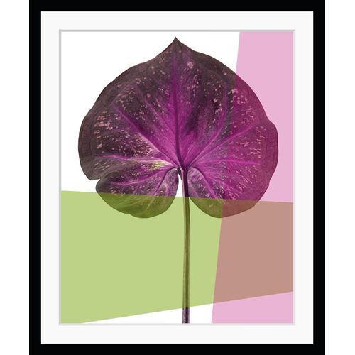 4049009891222 - Bild QUEENCE Elsa Bilder Gr B H 30 cm x 40 cm Wandbild Blätter Hochformat bunt (grün lila) Kunstdrucke Natur Blatt gerahmt