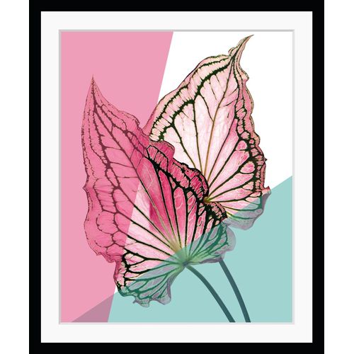 4049009891130 - Bild QUEENCE Robert Bilder Gr B H 30 cm x 40 cm Wandbild Blätter Hochformat blau (türkis rosa) Kunstdrucke gerahmt Natur Blatt 4049009891130 - Bild QUEENCE Robert Bilder Gr B H 30 cm x 40 cm Wandbild Blätter Hochformat blau (türkis rosa) Kunstdrucke gerahmt Natur Blatt