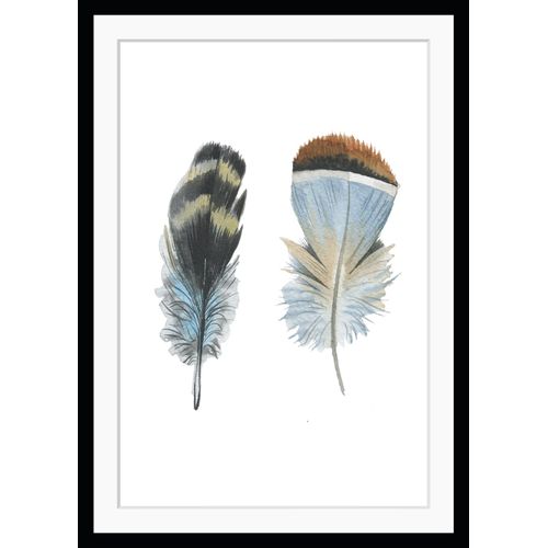 4049009894155 - Bild QUEENCE Dorothy Bilder Gr B H 40 cm x 50 cm Wandbild Federn Hochformat bunt (braun weiß hellblau) Kunstdrucke Vogel gerahmt Feder